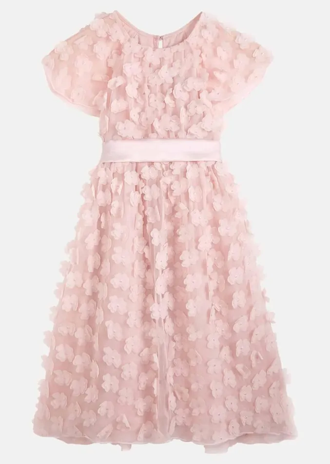 Alice Flower Fit And Flare Dress Antique Rose Women Phase Eight Dresses