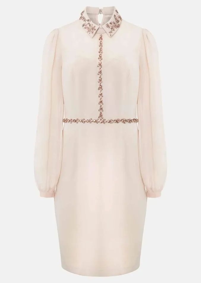 Avah Embellished Fitted Dress Cameo Women Phase Eight Dresses