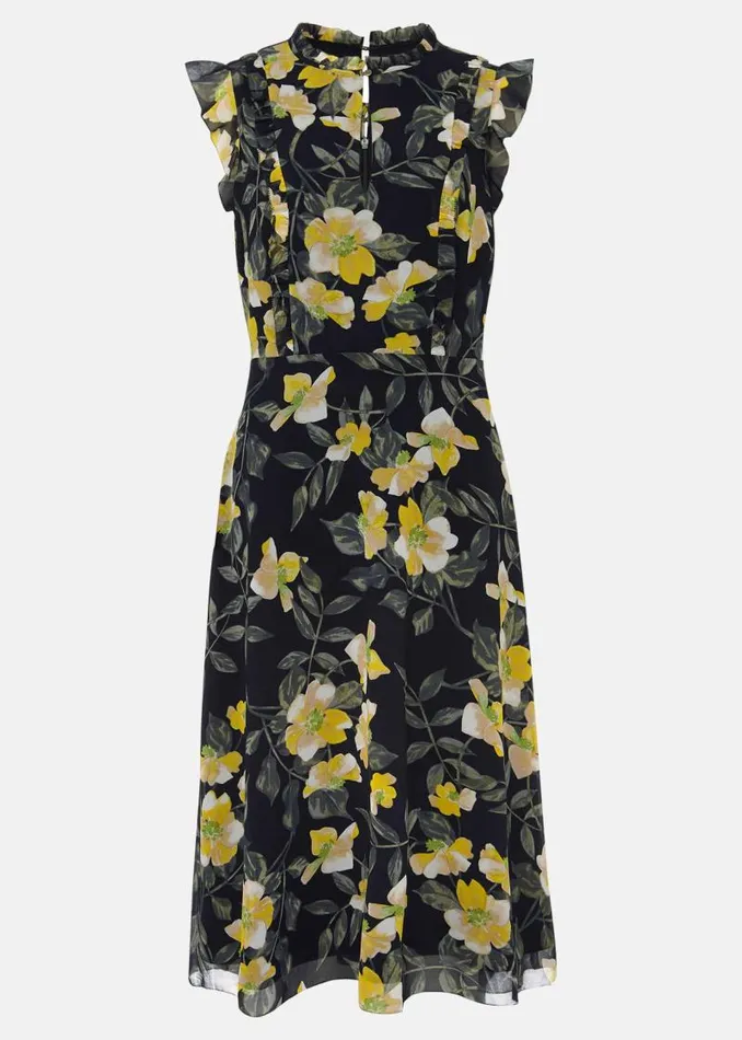 Evie Floral Dress Navymulti Women Phase Eight Dresses