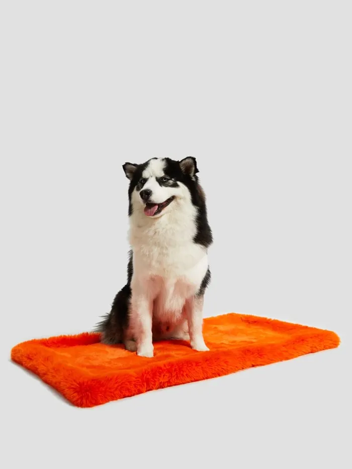 GUESS Home FauxFur Pet Carpet Blue 8211 Women