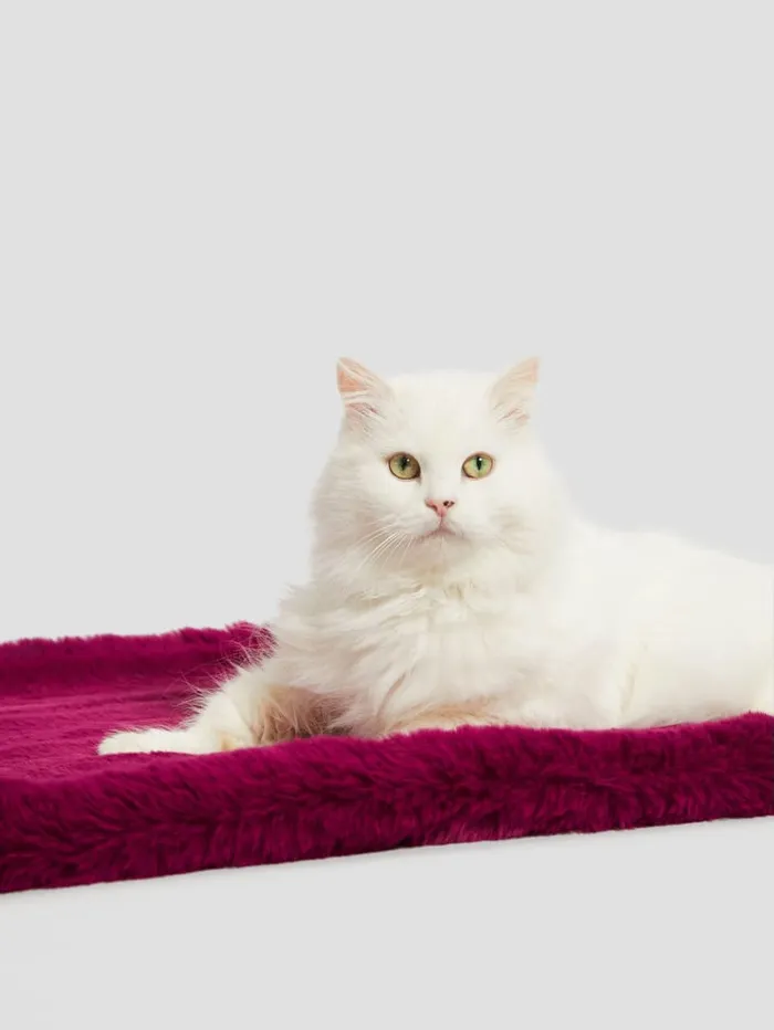 GUESS Home FauxFur Pet Carpet Blue 8211 Women