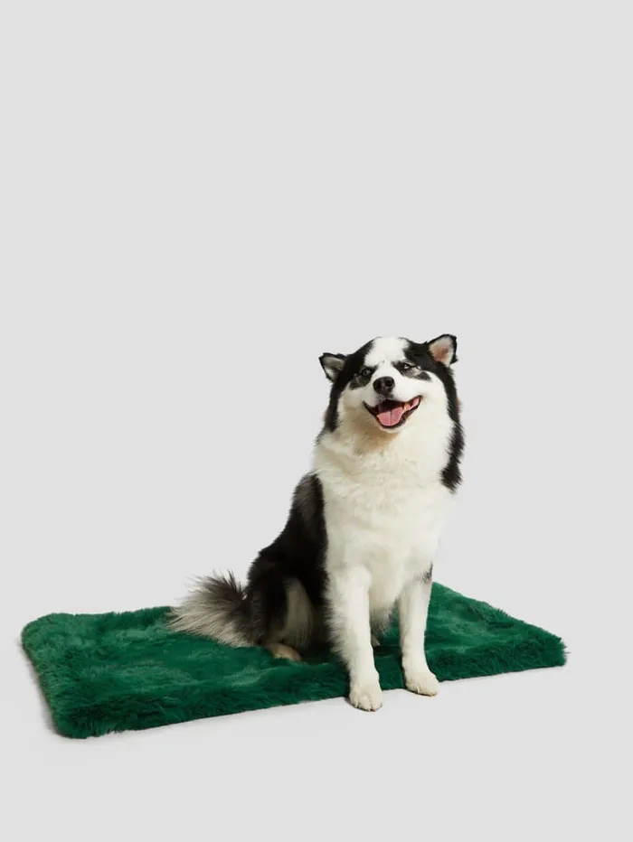 GUESS Sale FauxFur Pet Carpet Green 8211 Women