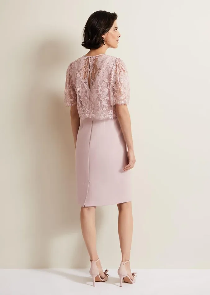 Lynette Lace Double Layer Dress Pale Pink Women Phase Eight Dresses