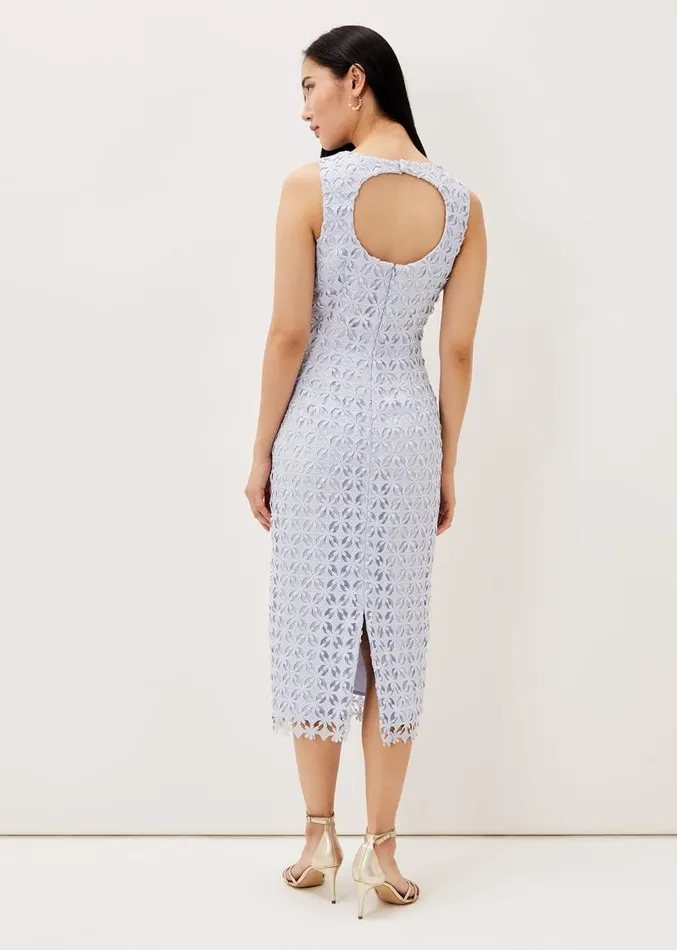 Novah Lace Midi Dress Sky Blue Women Phase Eight Dresses