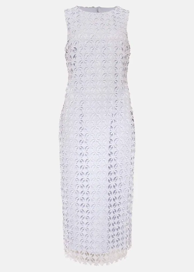 Novah Lace Midi Dress Sky Blue Women Phase Eight Dresses