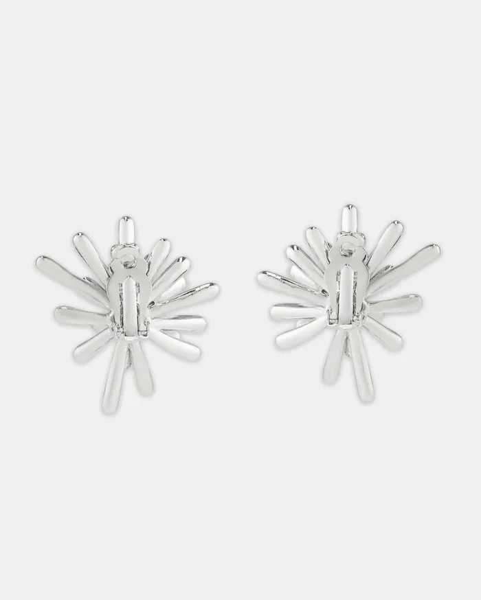 Splash Earrings Silver Women Aquazzura Jewelry