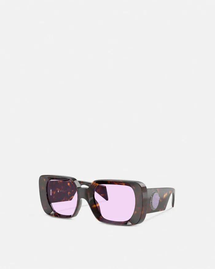 Versace Sunglasses Medusa Medallion Sunglasses Havana 8211 WomenMen