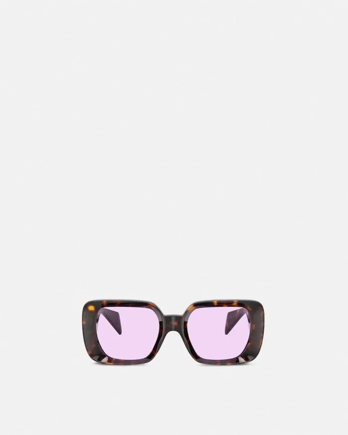 Versace Sunglasses Medusa Medallion Sunglasses Havana 8211 WomenMen Versace Sunglasses Medusa Medallion Sunglasses Havana 8211 WomenMen
