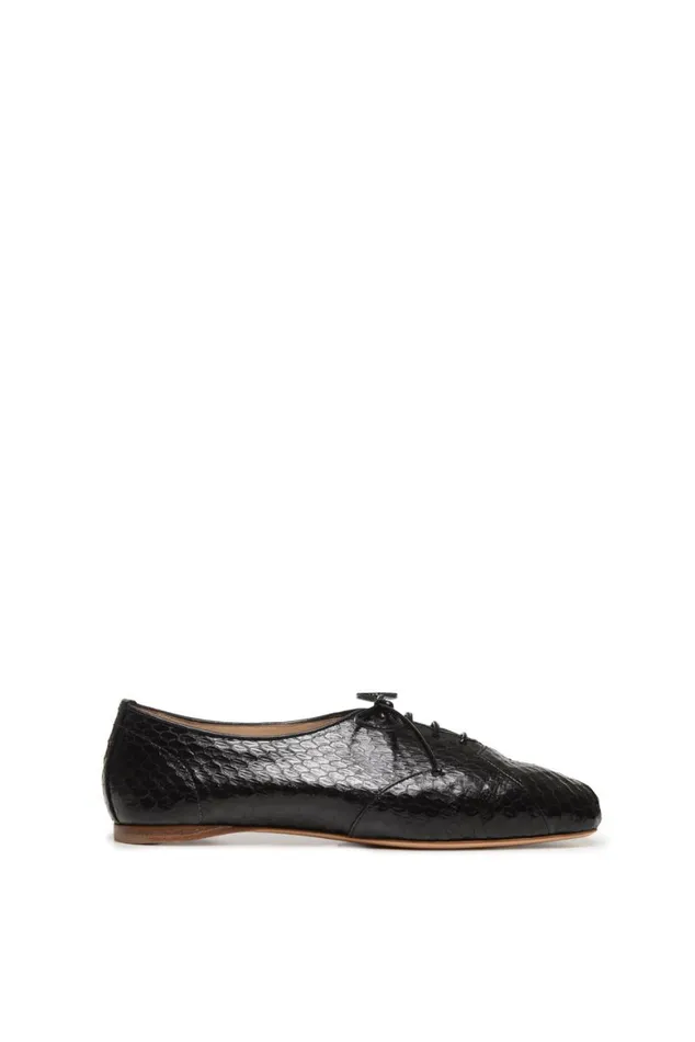 Women Flats Gabriela Hearst Maya Flat Shoe In Black Snakeskin