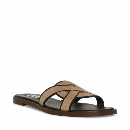 Women KNIA TAUPE Taupe Steve Madden Sandals