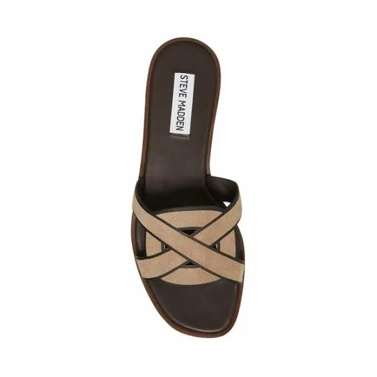 Women KNIA TAUPE Taupe Steve Madden Sandals Women KNIA TAUPE Taupe Steve Madden Sandals