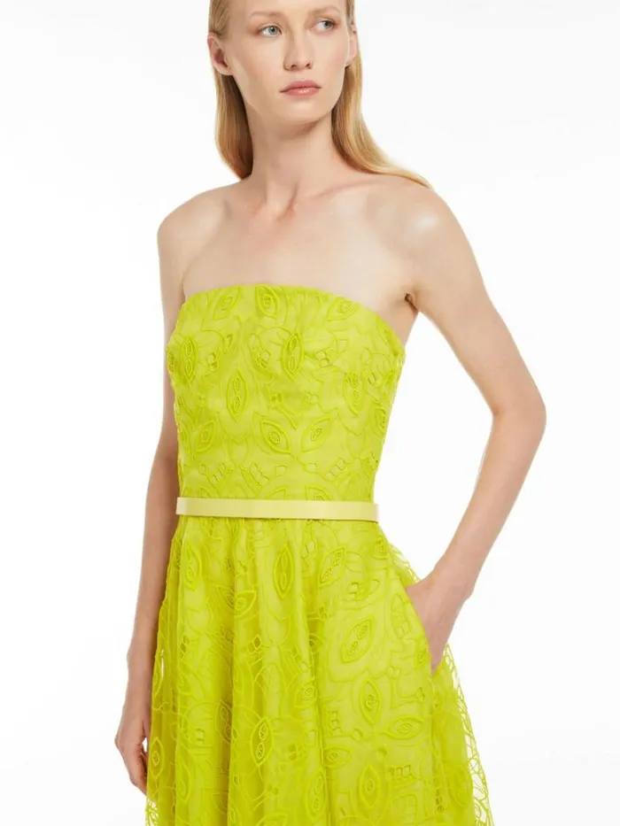 Women Max Mara Dresses Embroidered Organza Bustier Dress Lemon