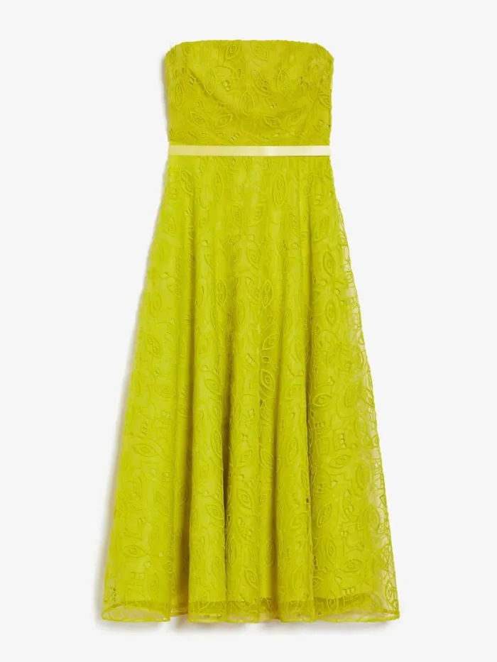 Women Max Mara Dresses Embroidered Organza Bustier Dress Lemon